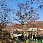 용인 야외바베큐 맛집 이미지