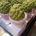 대만 여행 갔을때 먹어야하는 과일 이미지