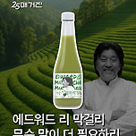 GS25 에드워드리)이균말차막걸리 나온다고 함 이미지