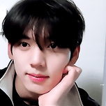 내 강아지상 이상형 이미지