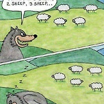 와 먹잇감 천지네! 한 마리 두 마리... 이미지