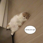 #mood 이미지