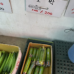 애호박 1개 1,200원 이미지