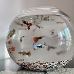 너무 많은건가? 이미지