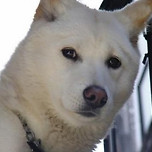 자기 전 셀카 올림 이미지