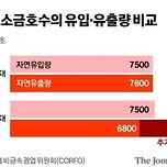 전기차 친환경 이면! 이미지