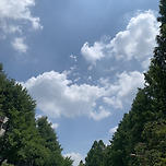 오늘 성남시 이미지