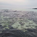 파도소리만 들리는 새벽의 김녕해수욕장 이미지