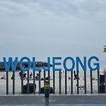 제주도에서 가장 핫한 해변 월정리해수욕장 이미지