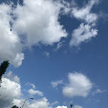 오늘 날씨 미쳤따 이미지