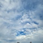 오늘은 날이 좋네용 이미지