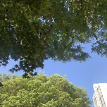 오늘도 날씨맑음. ☀️ 이미지