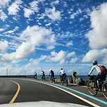 해안도로 이미지