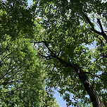 오늘은 캠핑날. 강원도 원주 날씨맑음🏕️ 이미지