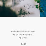 독서욕구 자극하는 책 명언 이미지