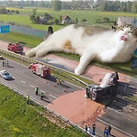 핫초코 좀 먹고 갈게요.jpg 이미지