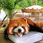 오늘의 날씨 이미지