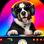 우리 강아지를 DJ로 변신시켰어요 이미지