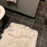 페르시안 매트.jpg 이미지