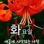 행복 스위치 (좋은글) 이미지