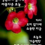 오늘에 감사하며 (좋은글) 이미지