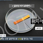 얼굴에 뭉치는 여드름 ‘산성피지’의 진실 이미지