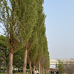 #주말 #한강 #먹방 이미지