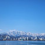 오징어 순대 맛집 이미지