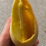 알뜰하게 망고 먹는법 따라해봤다 이미지