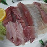 방어 모둠회 이미지