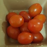 방토 먹는다 이미지