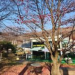 용인 대추차 맛집 이미지