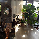 [천안/아산] 숲 카페 이미지