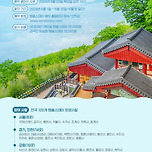 6월 한달 템플스테이가 단돈 3만원…🪷 이미지