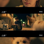 오늘도 사랑스럽개 볼만함 이미지