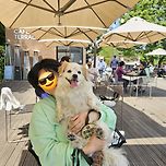 미용한 울 라니 칭찬해줘..^^ 이미지