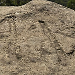 Happy 🌷V🌷alentine's Day 이미지