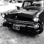 🇨🇦 삶 36일차… 이미지