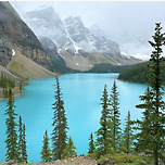 🇨🇦 삶 11일차.. 이미지