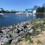 🇨🇦 삶 28일 차… 이미지