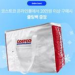 코스트코 쿨링백 이미지