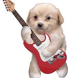 나는 낭~만~ 강~~~아~~지~~~ 이미지