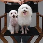 우리집 할머니들 이미지