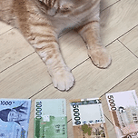 😻야미 새배돈😻 이미지