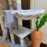 🐈오랜만이다~옹🐈 이미지