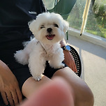 최강 동안~~울집 꼬미~~ 이미지