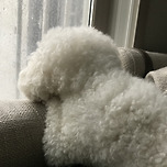 뒷모습에도 표정이 있다 이미지