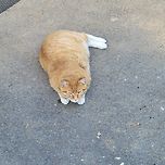 경기상상캠퍼스 이미지