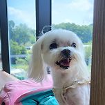 케케케켘 이미지