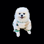 핸드폰 배경화면 이미지